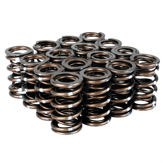 Skunk2 Valve Springs