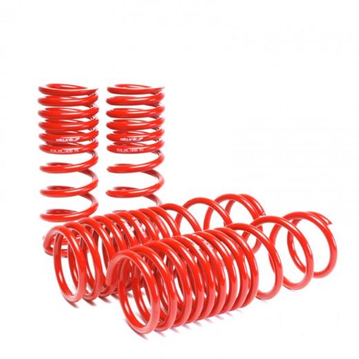 Skunk2 Lowering Springs