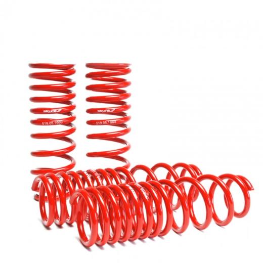 Skunk2 Lowering Springs