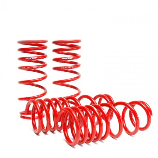 Skunk2 Lowering Springs