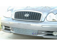 02-05 Hyundai Sonata APS Bumper Grille - Aluminum