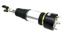 04-10 JAGUAR XJ8 Arnott Air Suspension Shock - Front (Either Side)