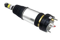 04-10 JAGUAR XJ8 Arnott Air Suspension Shock - Rear (Either Side)