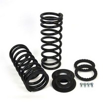 98-04 LAND ROVER DISCOVERY II Arnott Coil Spring Conversion Kit - Rear