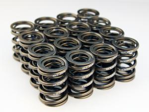 B16A - B18C1-5 (1.6L/1.8L DOHC VTEC) Blox Racing Valve Springs