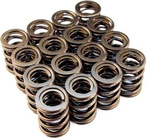 K20A2-3, Z1-3 (2.0L DOHC i-VTEC), K24A-3 (2.4L DOHC i-VTEC) Blox Racing Valve Springs