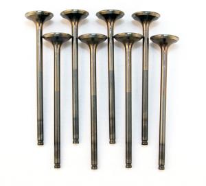 D-Series SOHC VTEC (D16Z-Y) Blox Racing High Compression Valves - Intake Valve Set, Standard Size