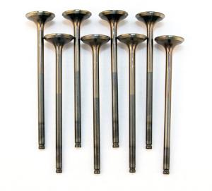 D-Series SOHC VTEC (D16Z-Y) Blox Racing High Compression Valves - Exhaust Valve Set, Standard Size