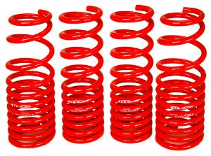 92-95 Civic, 92-95 Del Sol Blox Racing Lowering Springs - Front 2.75