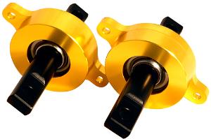 92-00 Civic, 94-01 Integra Blox Racing Spherical Bearing Kit for Rear Trailing Arm (Gold)