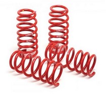 1998-2004 Audi A6 Quattro AWD H&R Race Springs - Lowers Front: 1.9