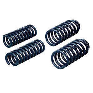 05-08 Dodge Magnum, 05-09 Chrysler 300,  05-09 Chrysler 300C, 06-09 Dodge Charger V6 Hotchkis Sport Coil Springs Set - Front and Rear