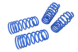 02-06 Nissan Sentra (B15) Manzo USA Lowering Springs - 2