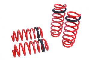 11-Up BMW 5 Series (F10) Megan Racing Lowering Springs