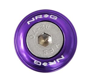 All Jeeps (Universal), All Vehicles (Universal) NRG Innovations Fender Washer Kit, Rivets for Plastic, Set of 10 (Purple)