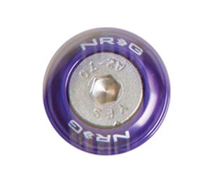 All Jeeps (Universal), All Vehicles (Universal) NRG Innovations Fender Washer Kit, Rivets for Metal, Set of 10 (Purple)