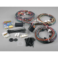 1969-1970 Ford Mustang Base,  Boss 429,  Grande,  Mach 1 Painless 14 Circuit (Wiring Harness)