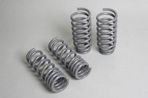 05-08 Dodge Magnum Progress Sport Springs