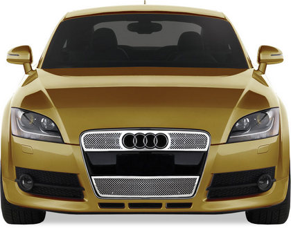 08-12 Audi TT Restyling Ideas Grille - Perimeter Woven Mesh, Chrome Stainless Steel