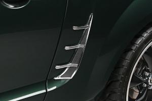 2005-2009 Mustang Retro USA Mustang Quarter Molding