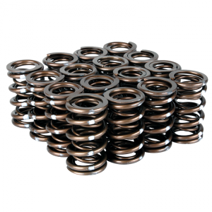 94-97 Honda del Sol (VTEC), 92-01 Acura Integra (GS-R), 99-00 Honda Civic Coupe (Si) Skunk2 Valve Springs