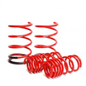 01-04 Civic Skunk2 Lowering Springs