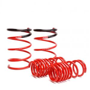 02-04 Civic Si Hatchback Skunk2 Lowering Springs