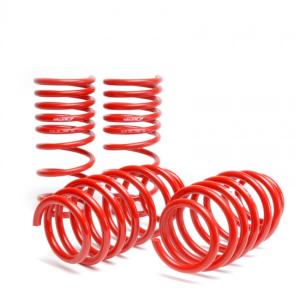 06-11 Honda Civic Skunk2 Lowering Springs