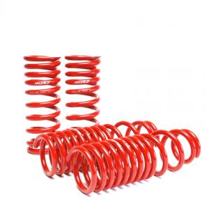 90-93 Acura Integra (GS, LS, RS,GS-R) Skunk2 Lowering Springs