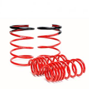 02-04 RSX (Including Type-S) Skunk2 Lowering Springs