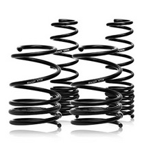 00-09 Honda S2000 Swift Springs Spec-R Springs