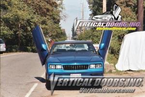 79-88 Monte Carlo Vertical Doors Inc Lambo Doors - Direct Bolt On Kit