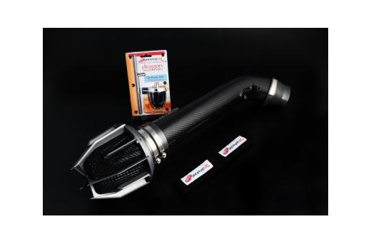 Weapon R Short Ram Intake - Carbon Fiber Pipe, Dragon Filter