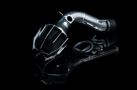 Weapon R Short Ram Intakes - Dragon (Polished)