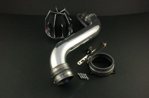 Weapon R Short Ram Intakes - Dragon (Polished)