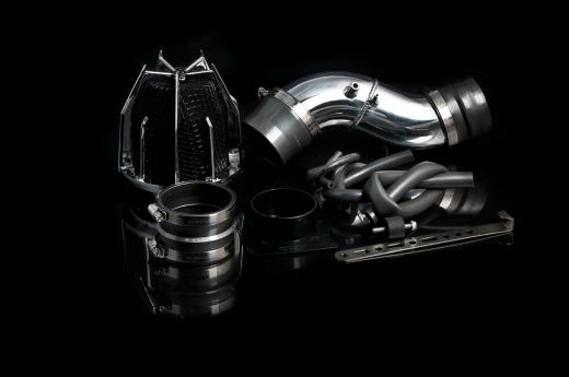 Weapon R Short Ram Intakes - Dragon (Polished)