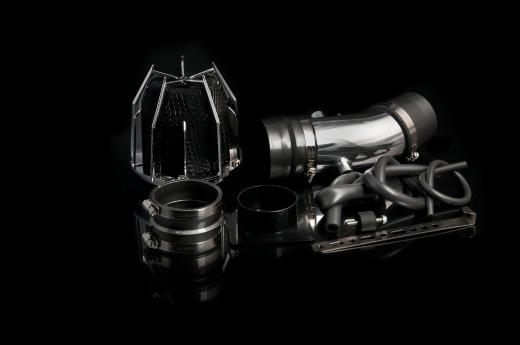 Weapon R Short Ram Intakes - Dragon (Polished)