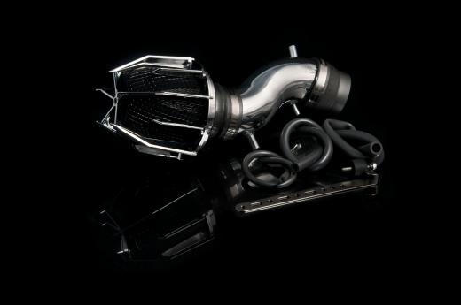 Weapon R Short Ram Intakes - Dragon (Polished)