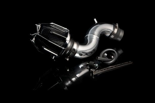 Weapon R Short Ram Intakes - Dragon (Polished)