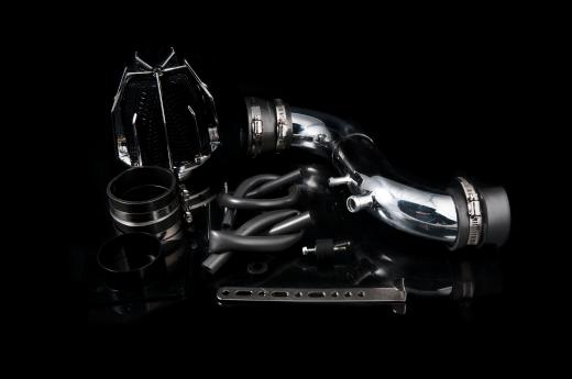 Weapon R Short Ram Intakes - Dragon (Polished)